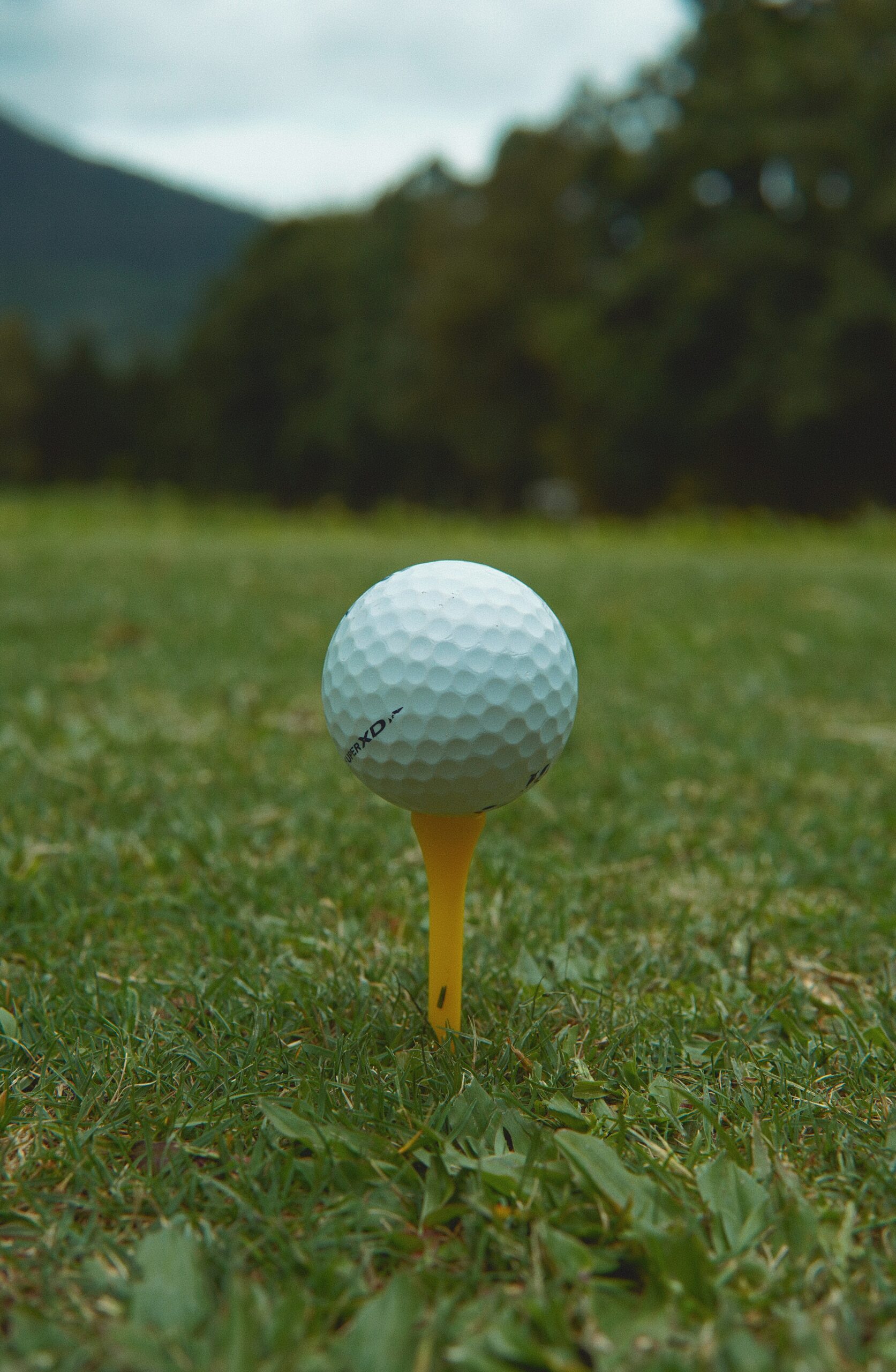 DO NOT WASTE YOUR MONEY MY top 5 GOLF Training AIDS DO NOT WASTE YOUR MONEY MY top 5 GOLF Training AIDS