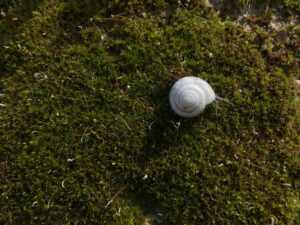 What Is The Best Golf Ball For Slow Swing Speeds?
