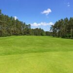 HUGE Golf Swing Results – My Student Improved By 20 Shots After This Golf Lesson!