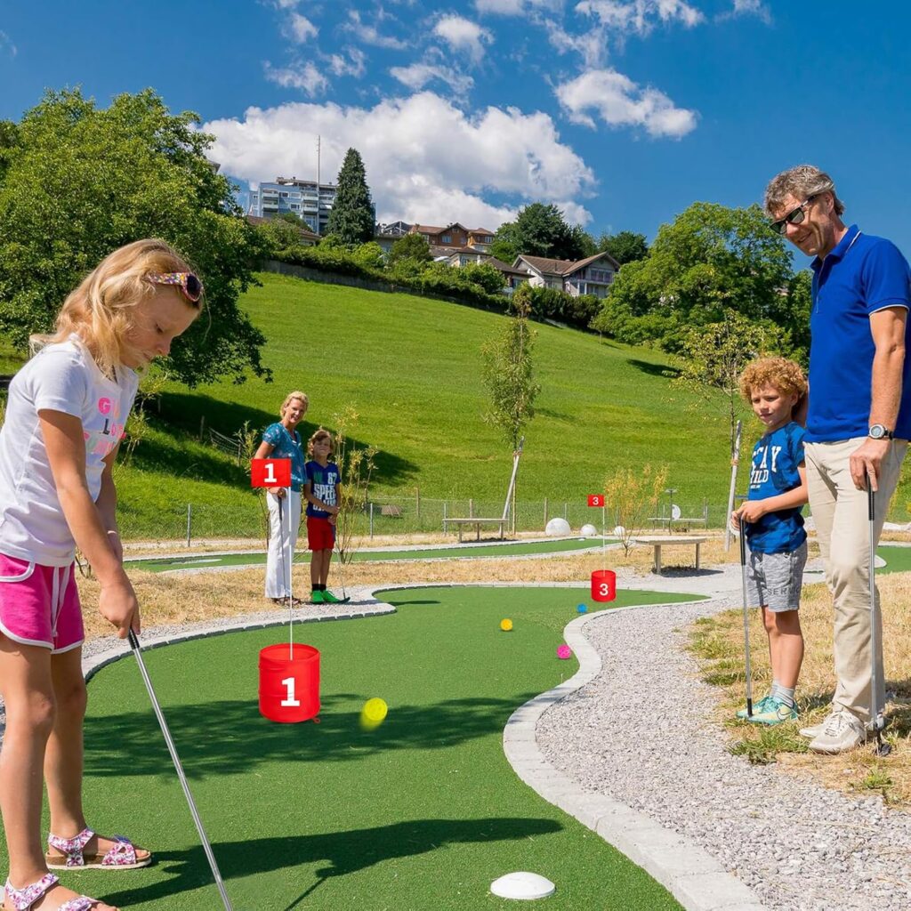 SJEhome Backyard Game Golf 2 Clubs and 5 Balls Suitable for 9/6/3 Hole Backyard Game Golf Yard Practice Outdoor Indoor Golf Gifts